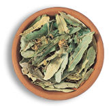 袋泡茶百年不衰，花草茶有什么功效？花草茶有哪些？